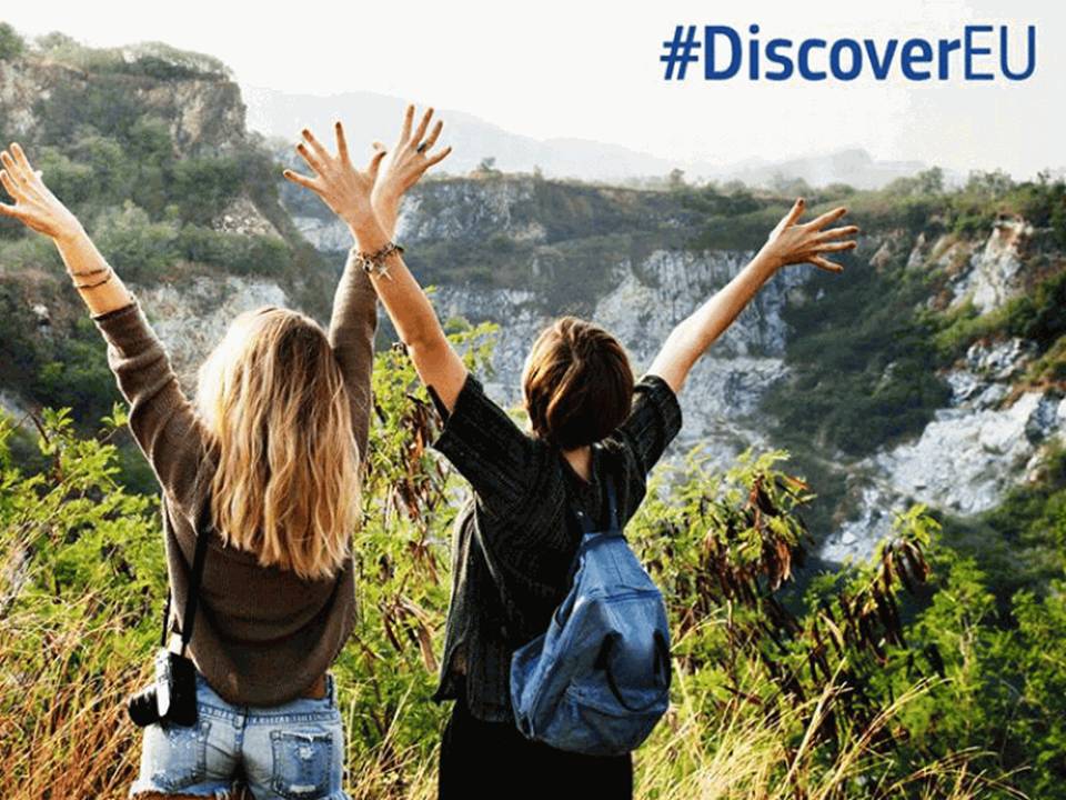 discover